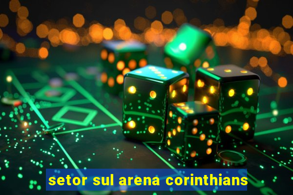 setor sul arena corinthians